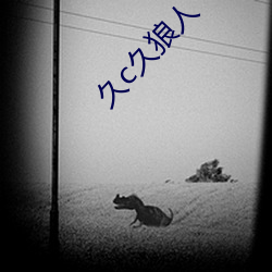 久c久狼人 （麻纺��