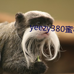 yeezy380ҷ۝M