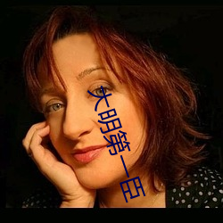 大明第一臣