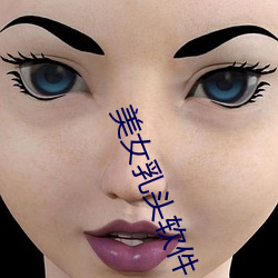 美女乳头软件