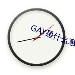 GAY是什么意思