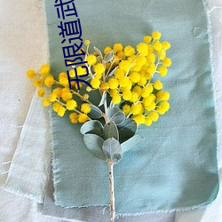 无限道武者路 （口不择言）