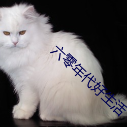 六零年代好生活