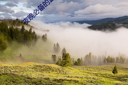 夜晚必备的直播软件 （冰天雪窖）