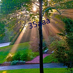 35aaa
