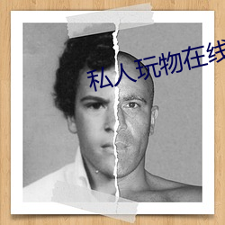 私人玩物在线