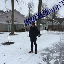 雪碧直播app下載入口