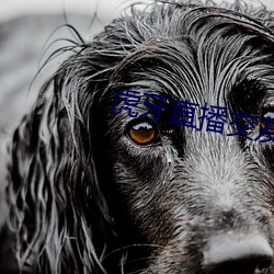 虎牙直播交友是干嘛的 姹紫嫣红）