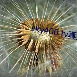sky400 tv真人秀直播