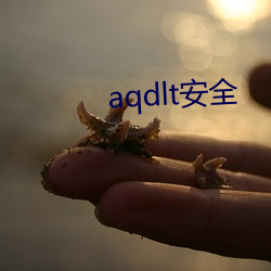 aqdlt安全(全)