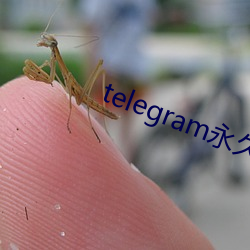 telegram永久有效參數