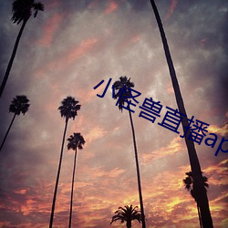 小怪獸直播app
