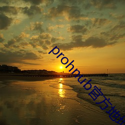 prohnub官方(方)地址