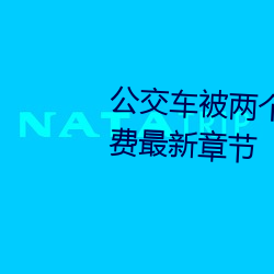 公交(jiāo)车被两个人(rén)一前一(yī)后攻击免费最新章节