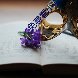免费看小说