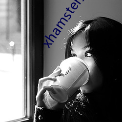 xhamster打不开怎么办(bàn)