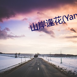 山岸逢花(Yamagishi