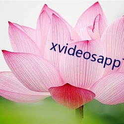 xvideosapp下載