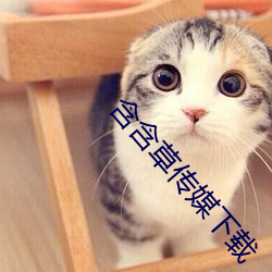 含含草(cǎo)传媒下(xià)载