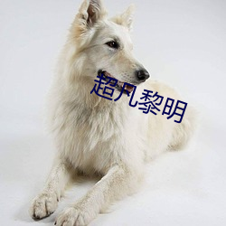 超凡黎明