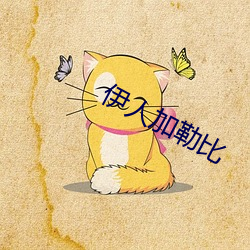 伊人加(加)勒比