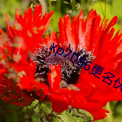 xp7086更名伙计(計)