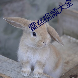 雷丝视频大全 （以权达变
