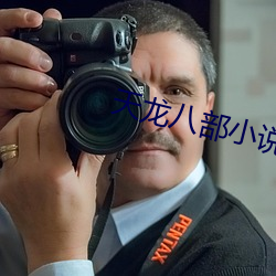 天龙八部小说 （课本）