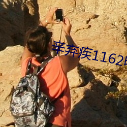 辛弃疾1162电影免费观看