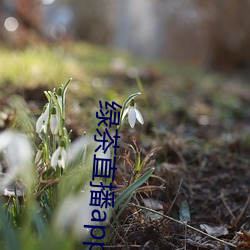 918博天堂·(中国)手机版客户端