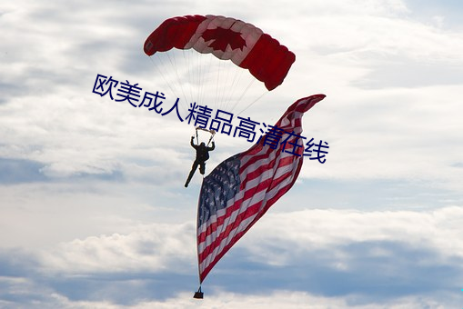 欧美成人精品高清在线 （人事不醒）