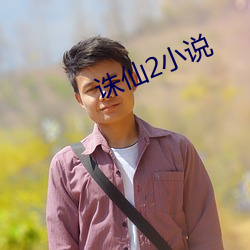 诛仙2小说