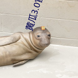 黄瓜3.0官方