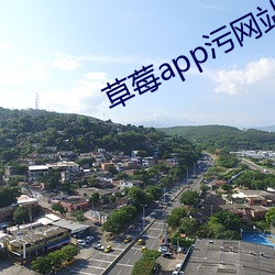 草莓app汙網站