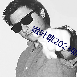 嫩葉草2023新地扯一二