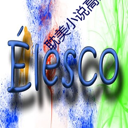 耽美小说高(高)h
