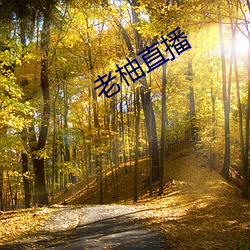 老柚直播