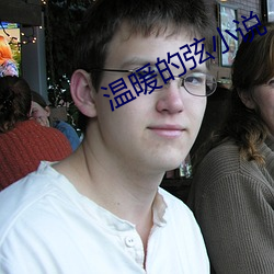 温暖的弦小说