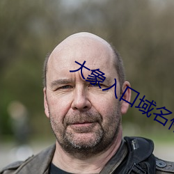 大象入口域名停靠