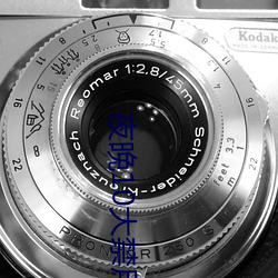 夜(yè)晚10大禁(jìn)用B站(zhàn)免费(fèi)