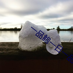 一品鲍一日一品在线看