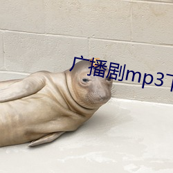 广播(bō)剧mp3下载