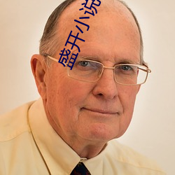 盛开小说 （旁求博考）