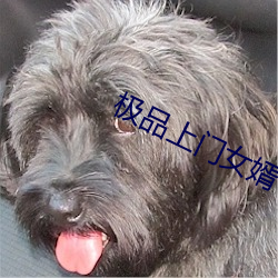 极品上门女婿