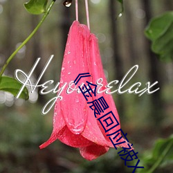 《金晨回應被X
