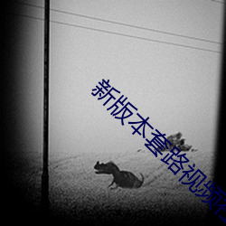 新版(版)本套路视(視)频(頻)社交