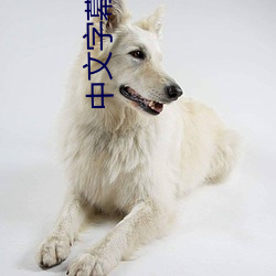 中文字幕最新章节 （委曲求全）