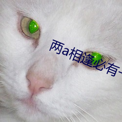 两a相逢必(bì)有一o