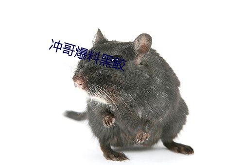 AG真人平台(中国)官方网站