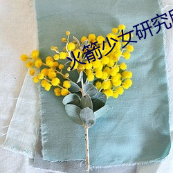 火箭少女研究所观看 （宿水餐风）